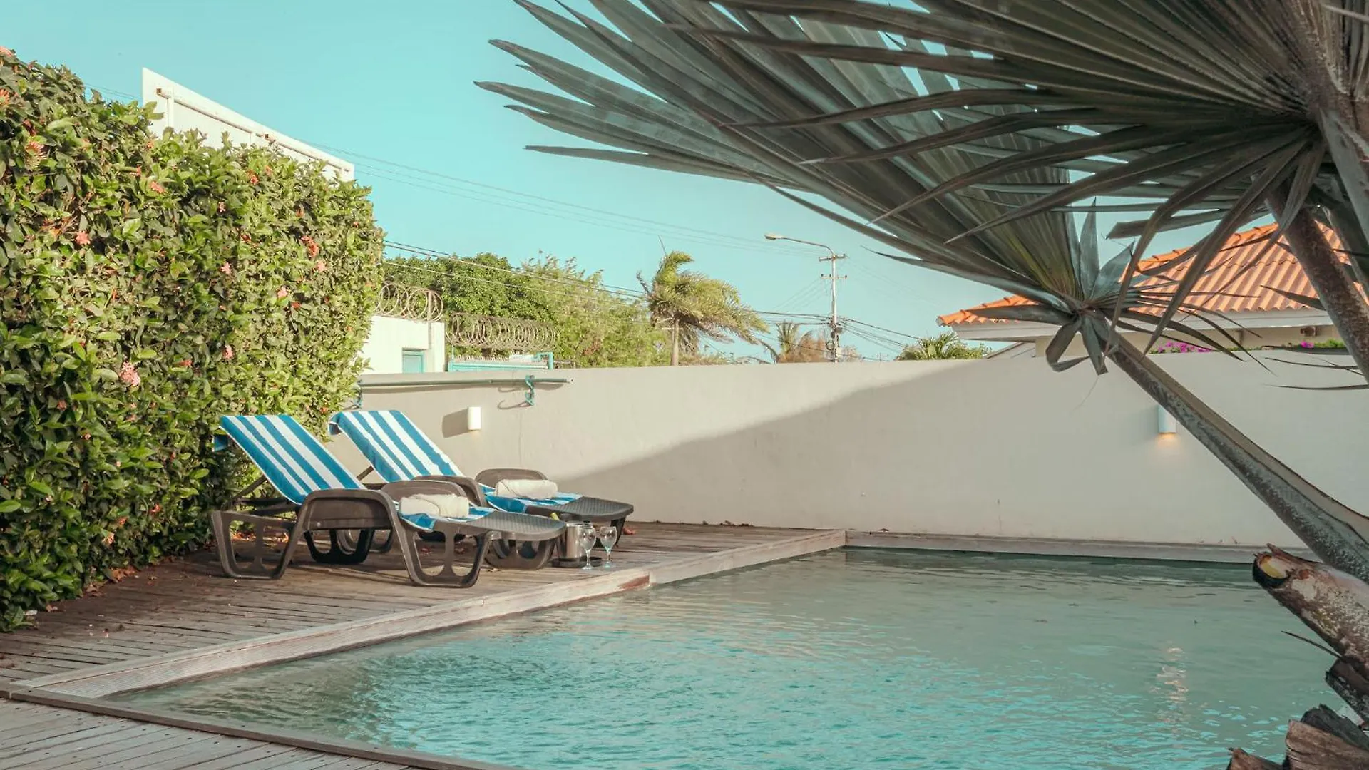Apartment The Pink Panther Apartment, Near Mambo Beach Boulevard Willemstad Curacao