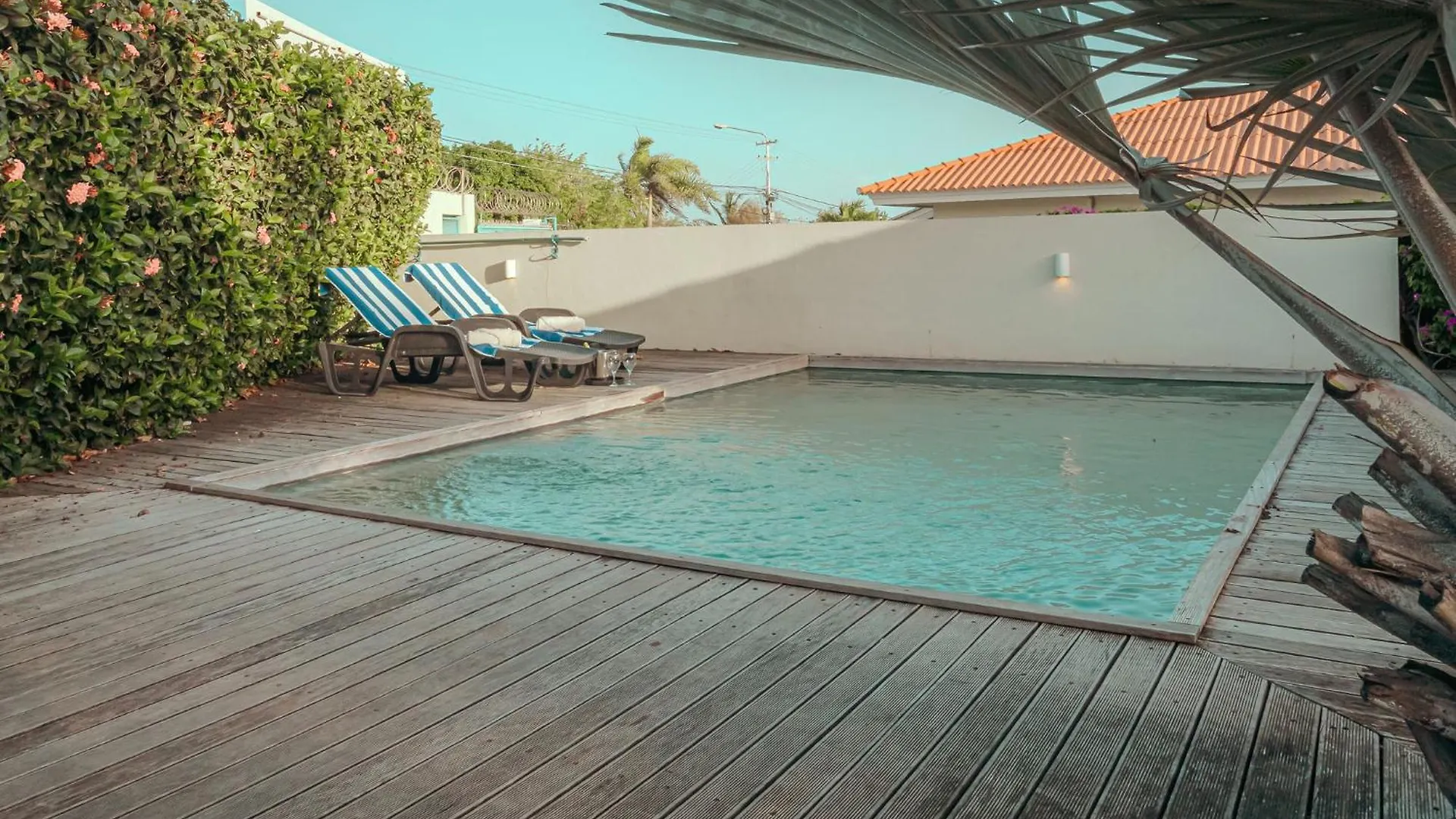 Apartment The Pink Panther Apartment, Near Mambo Beach Boulevard Willemstad