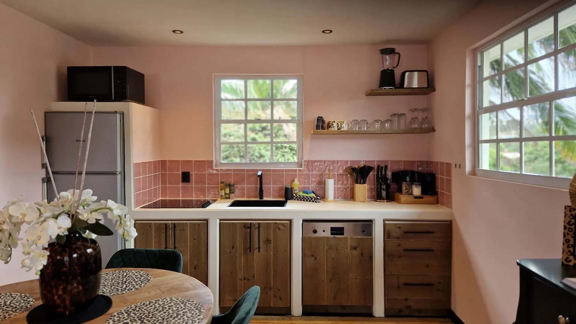 The Pink Panther Apartment, Near Mambo Beach Boulevard Willemstad Curacao