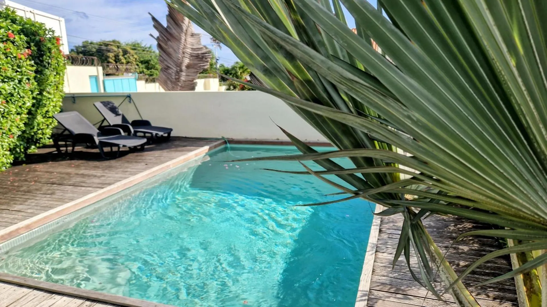 The Pink Panther Apartment, Near Mambo Beach Boulevard Willemstad Apartment